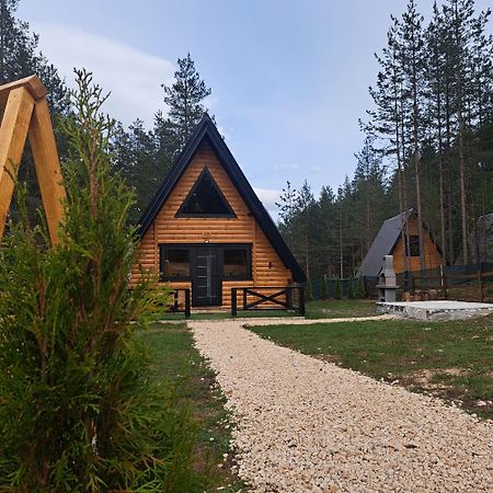 Pine Forest-Black Žabljak Zewnętrze zdjęcie