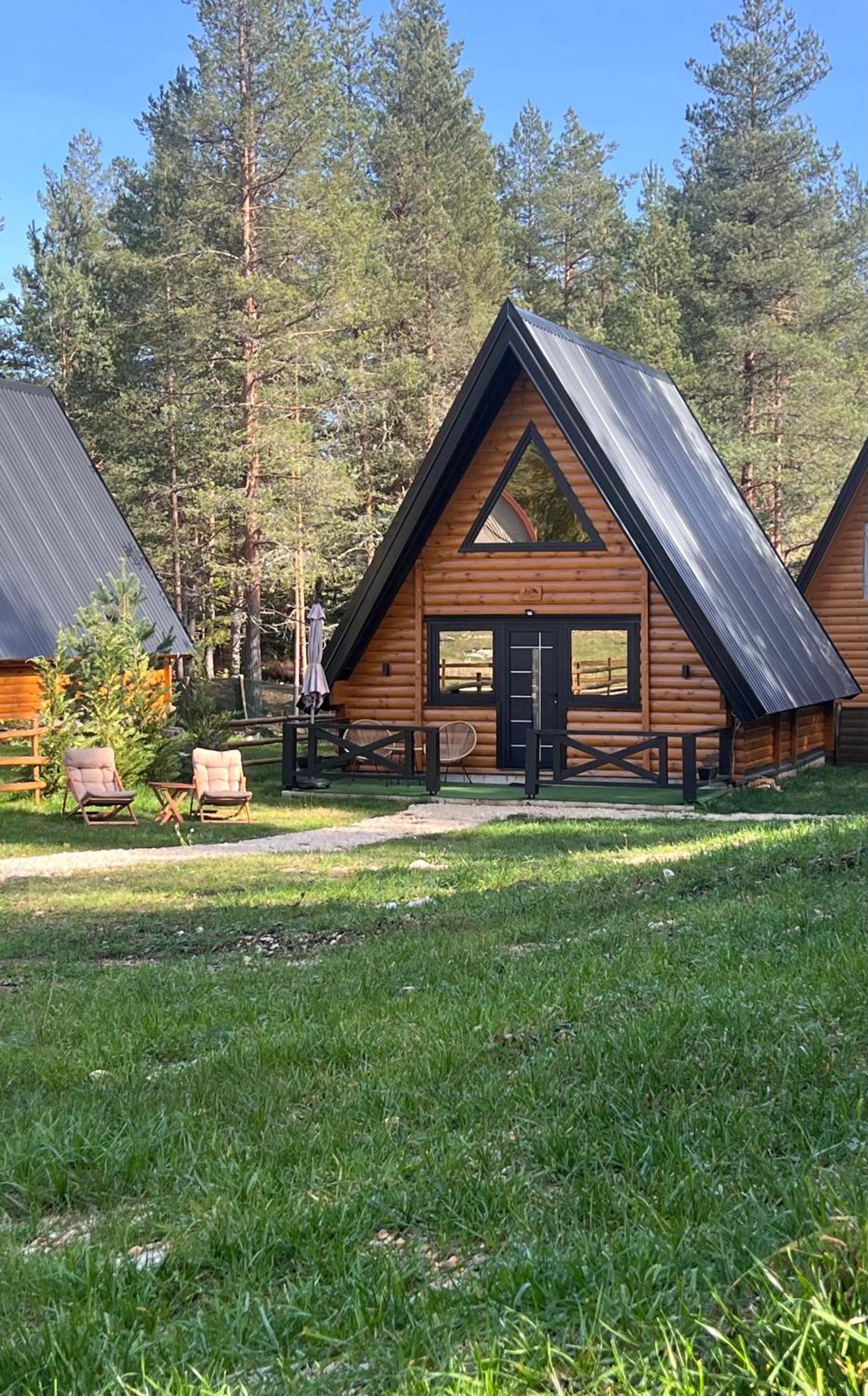Pine Forest-Black Žabljak Zewnętrze zdjęcie